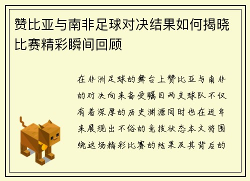 赞比亚与南非足球对决结果如何揭晓比赛精彩瞬间回顾